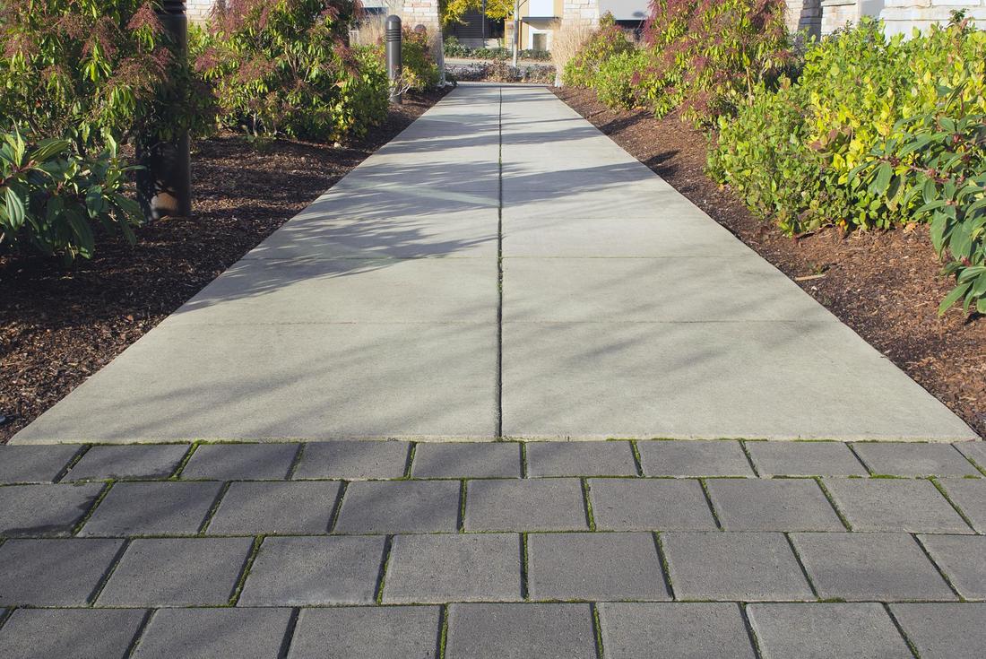 Concrete Sidewalk, Bellevue Wa